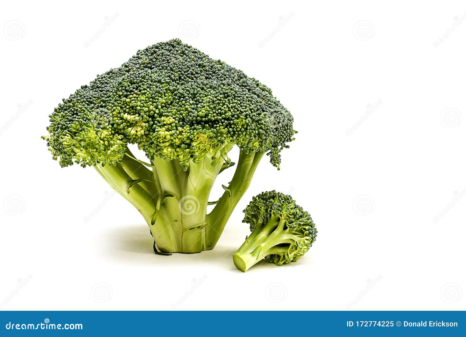 Vegetables Isolated on White Broccoli Stock Image Image of healthy
