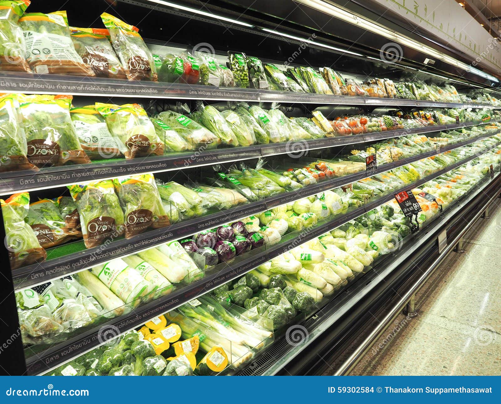 Vegetables that are Popular in Supermarkets Refrigerator Editorial