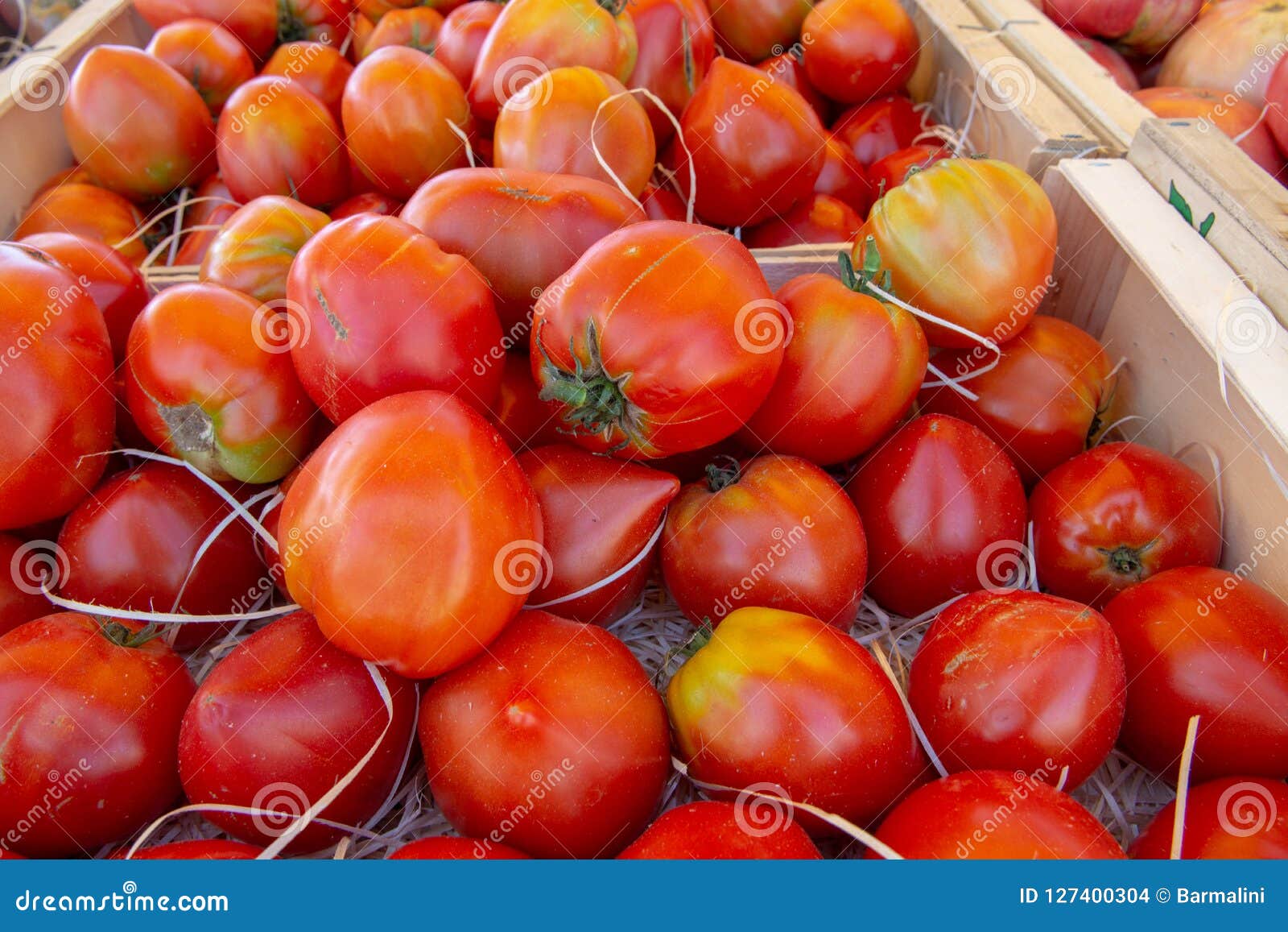 Vegetables of South France, Farmers Organic Ripe Tomatoes in Stock ...