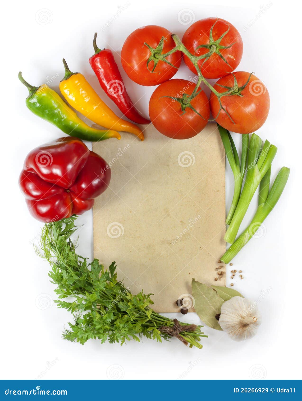 Vegetables and Spices Border Stock Image Image of cook, frame 26266929