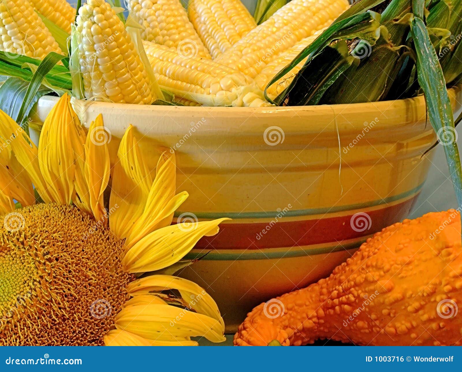 Vegetables and Sunflowers stock photo. Image of gourd 1003716