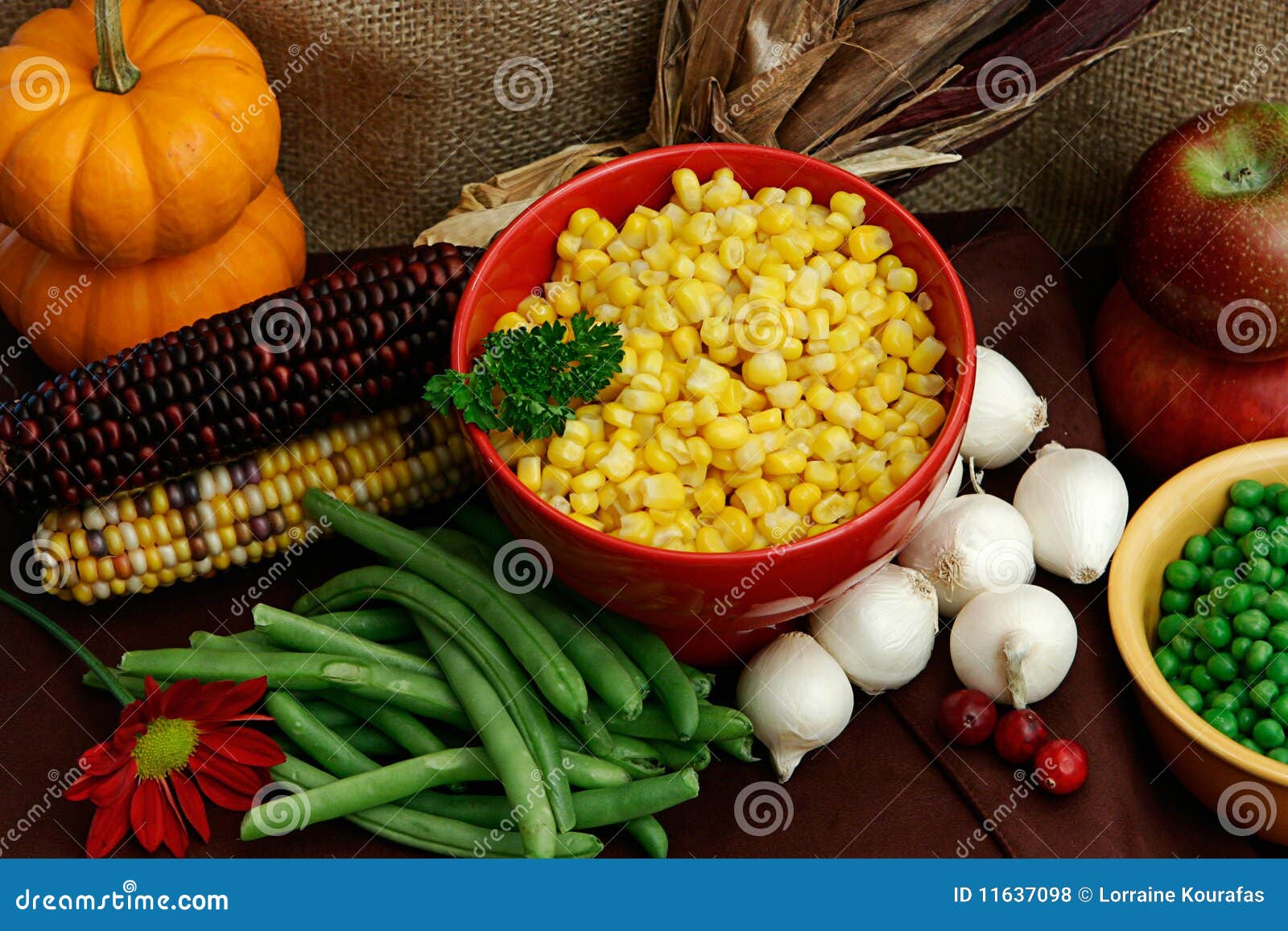 vegetables-for-a-thanksgiving-feast-stock-photo-image-of-diet-bounty