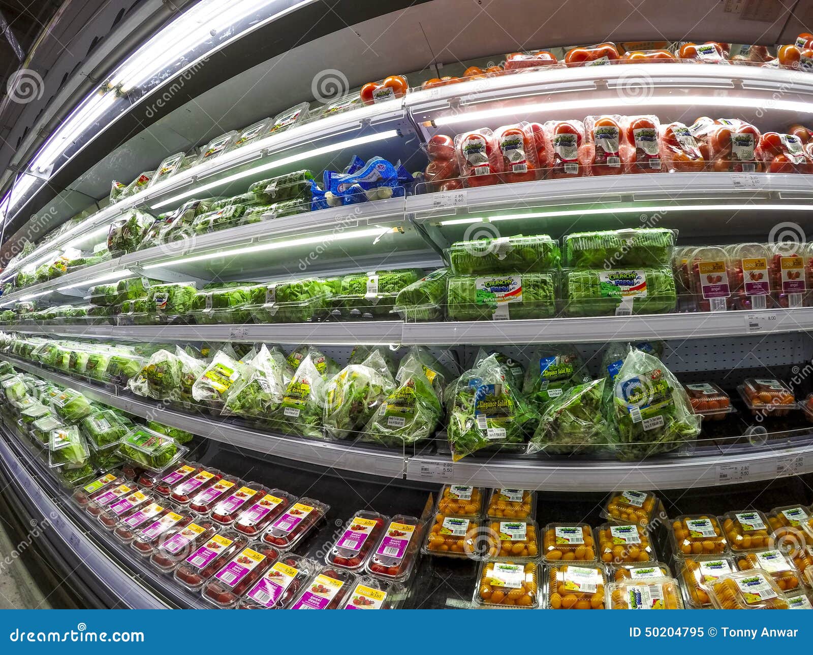 Vegetables editorial image. Image of variety, refrigerated 50204795