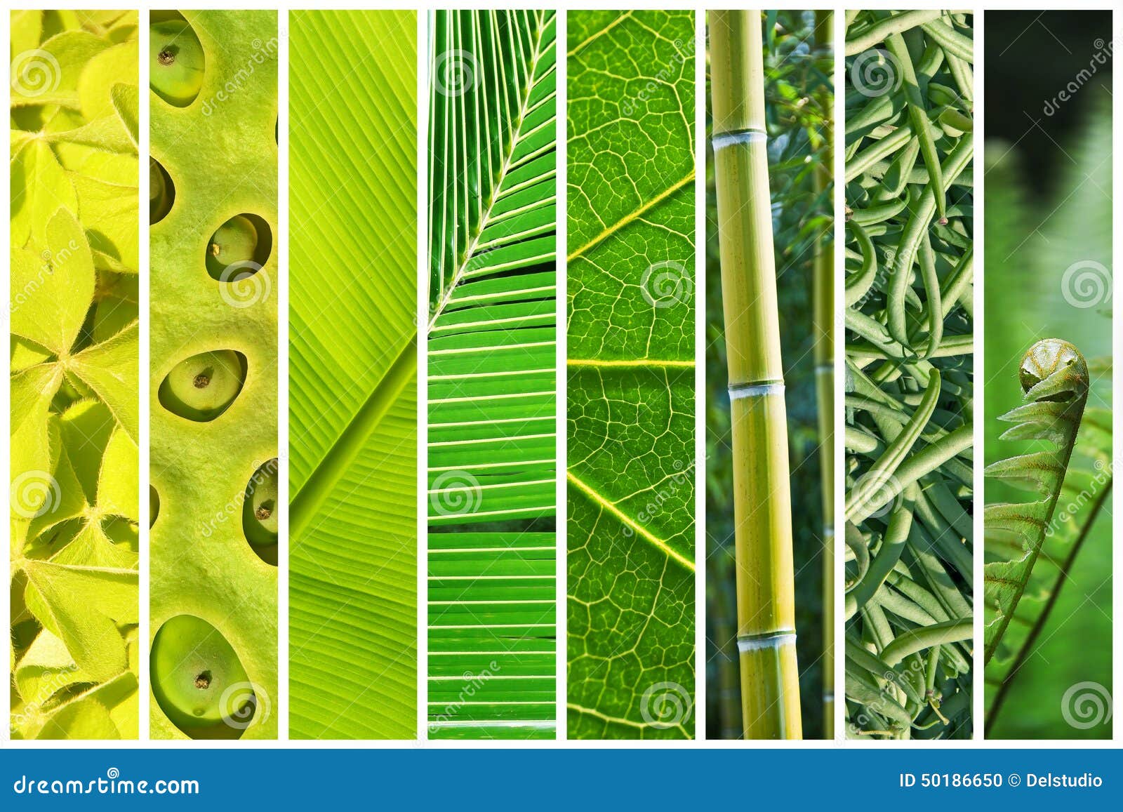 vegetal green gradation collage