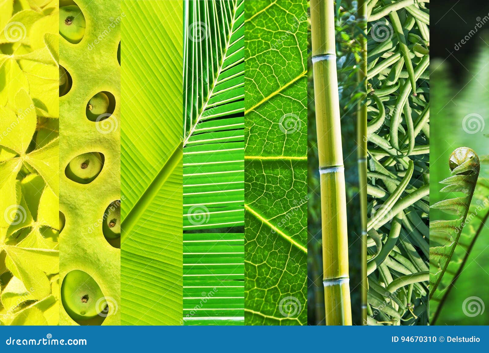 vegetal green gradation collage, nature color concept