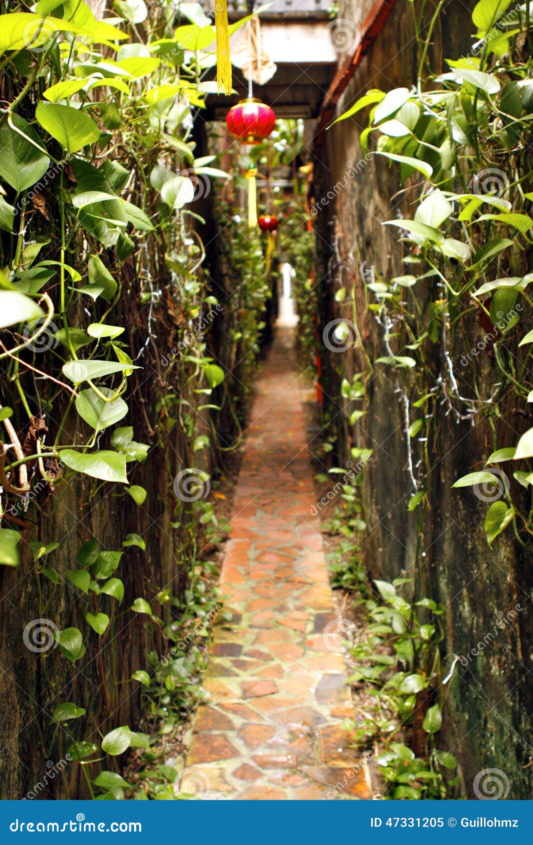 vegetal street