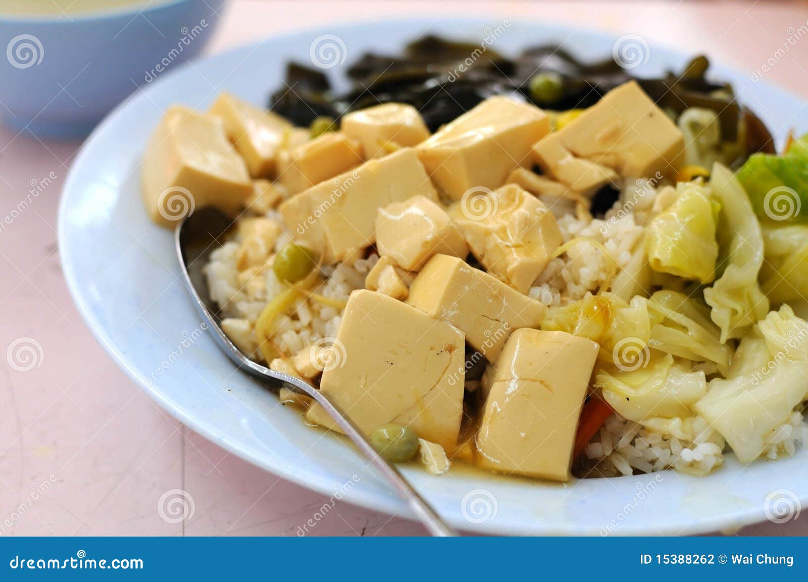 Vegetarian Bean Curd Cuisine Stock Photo Image of cooking, food 15388262