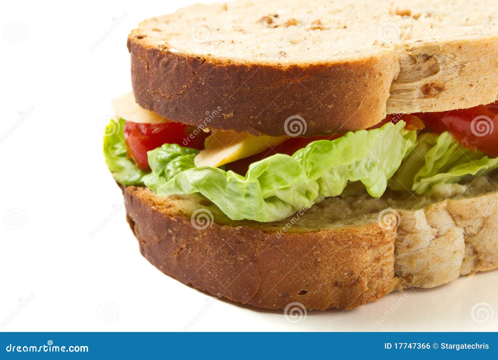 Vegetarian Sandwich stock photo. Image of nutritious - 17747366
