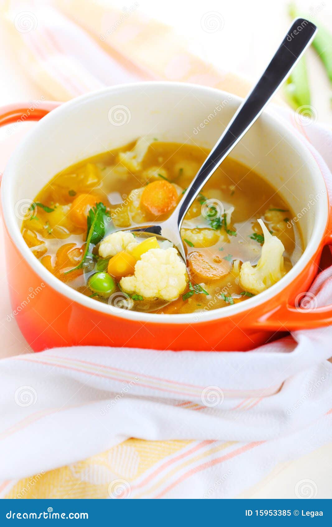 Vegetarian vegetable soup stock image. Image of lunch 15953385
