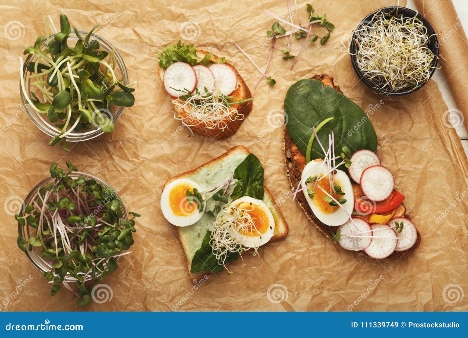 Variety of Healthy Vegetarian Sandwiches Stock Image - Image of