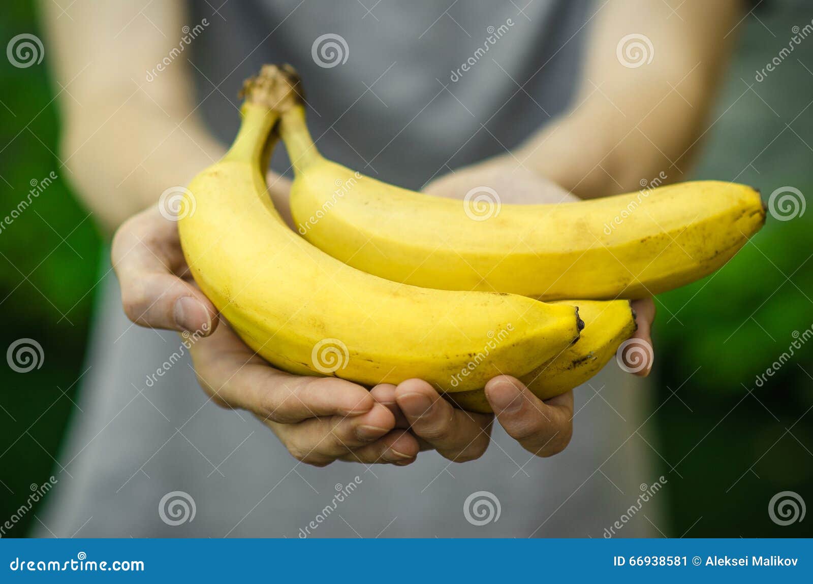 vegetarians and fresh fruit and vegetables on the nature of the theme: human hand holding a bunch of bananas on a background of gr