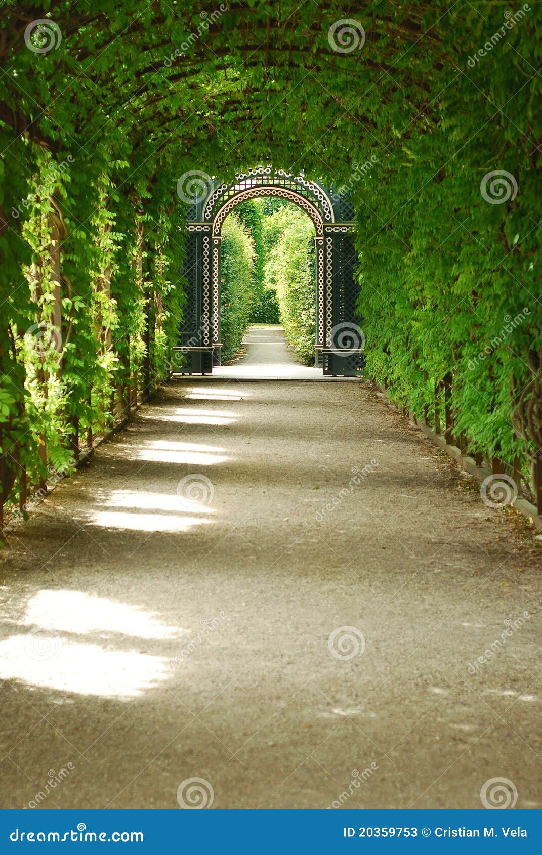 Vegetation tunnel stock image. Image of path, nature - 20359753