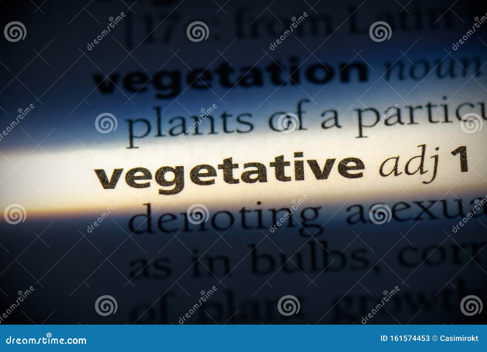 Vegetative stock image. Image of page, focus, highlight 161574453