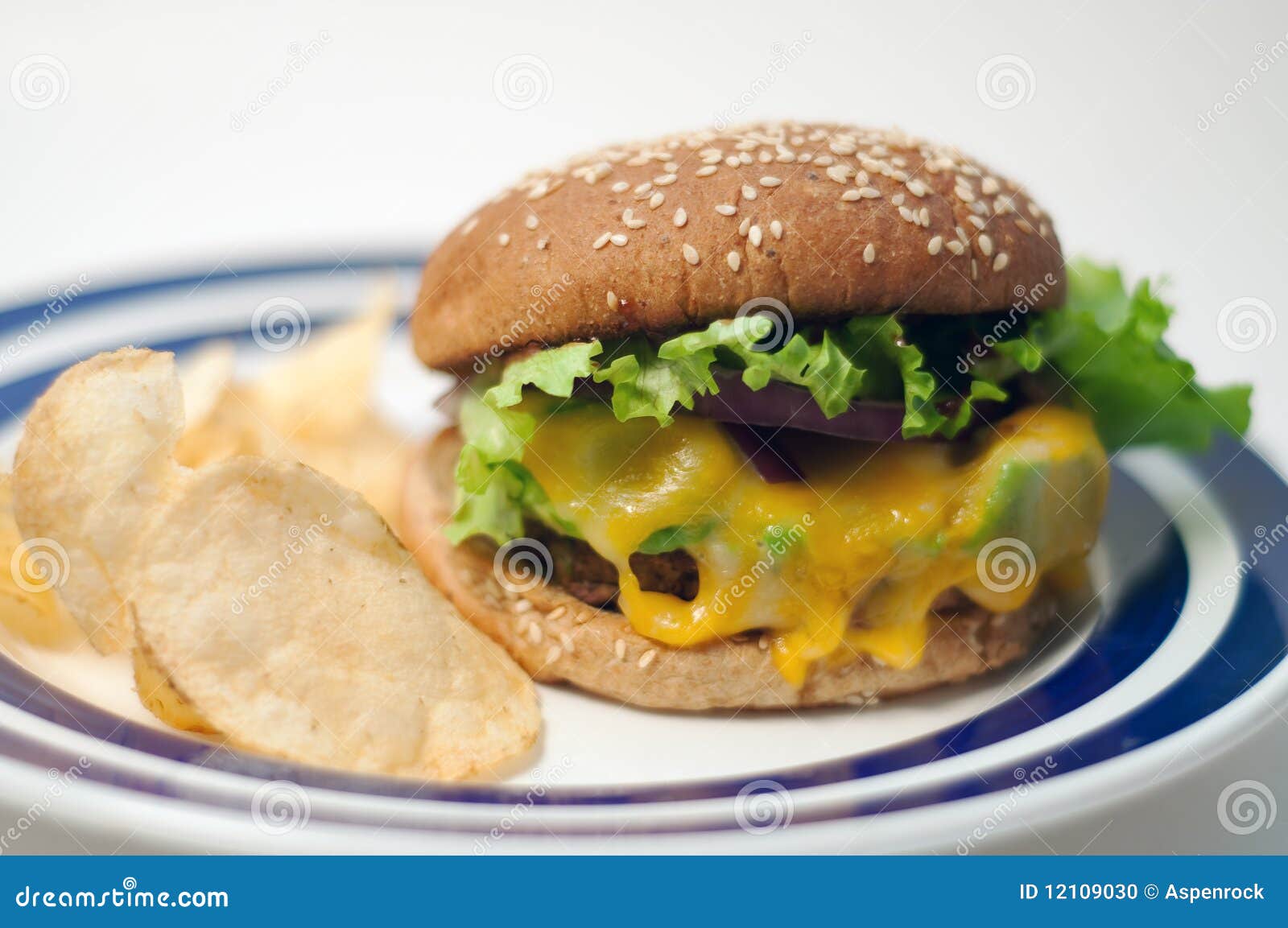 Veggie burger with chips stock photo. Image of meat, healthy 12109030