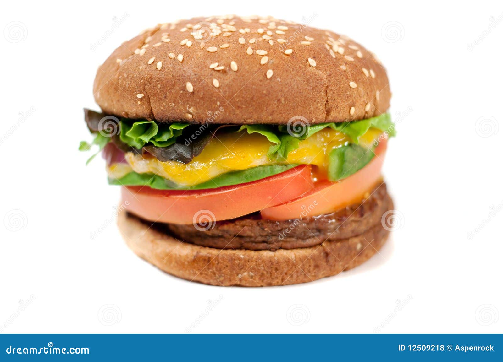 Veggie cheese burger stock photo. Image of cheese, sesame 12509218