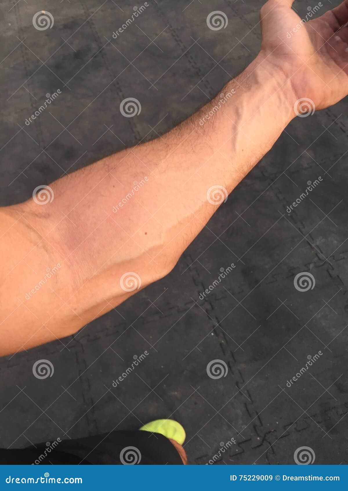 Veins stock image. Image of floor, crossfit, popping 75229009
