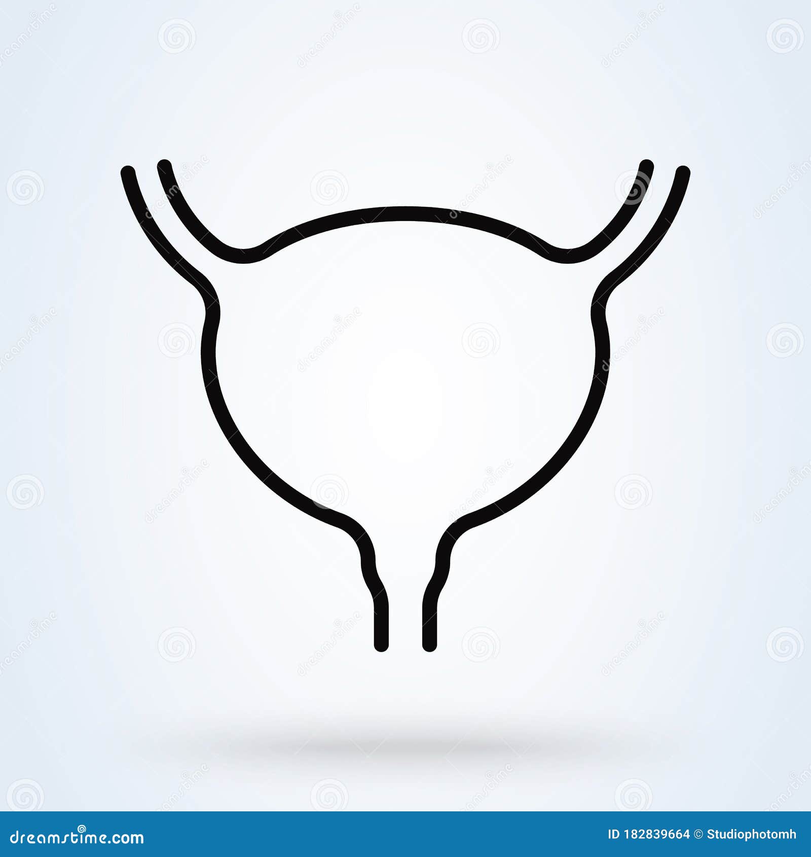 Vejiga Urinaria Humana Con Ureters Y Uretra Ilustración Vectorial