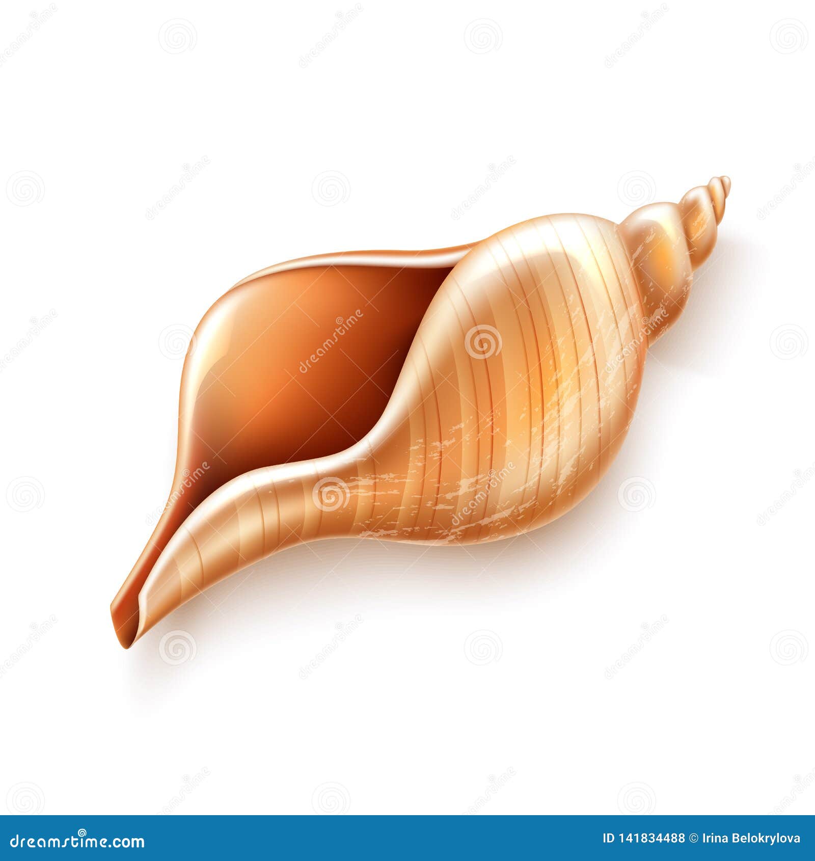 Vektorperlenmuschelmutter-Oberteil-Luxuszeichen. Cockleshell oder Muschel Realistisches Juwel oyester Elegante Molluske, Symbol des Reichtums, luxuty und des Schatzes Unterwassermeerestier Juwelry und zusätzlicher Dekorationsentwurf Auch im corel abgehobenen Betrag