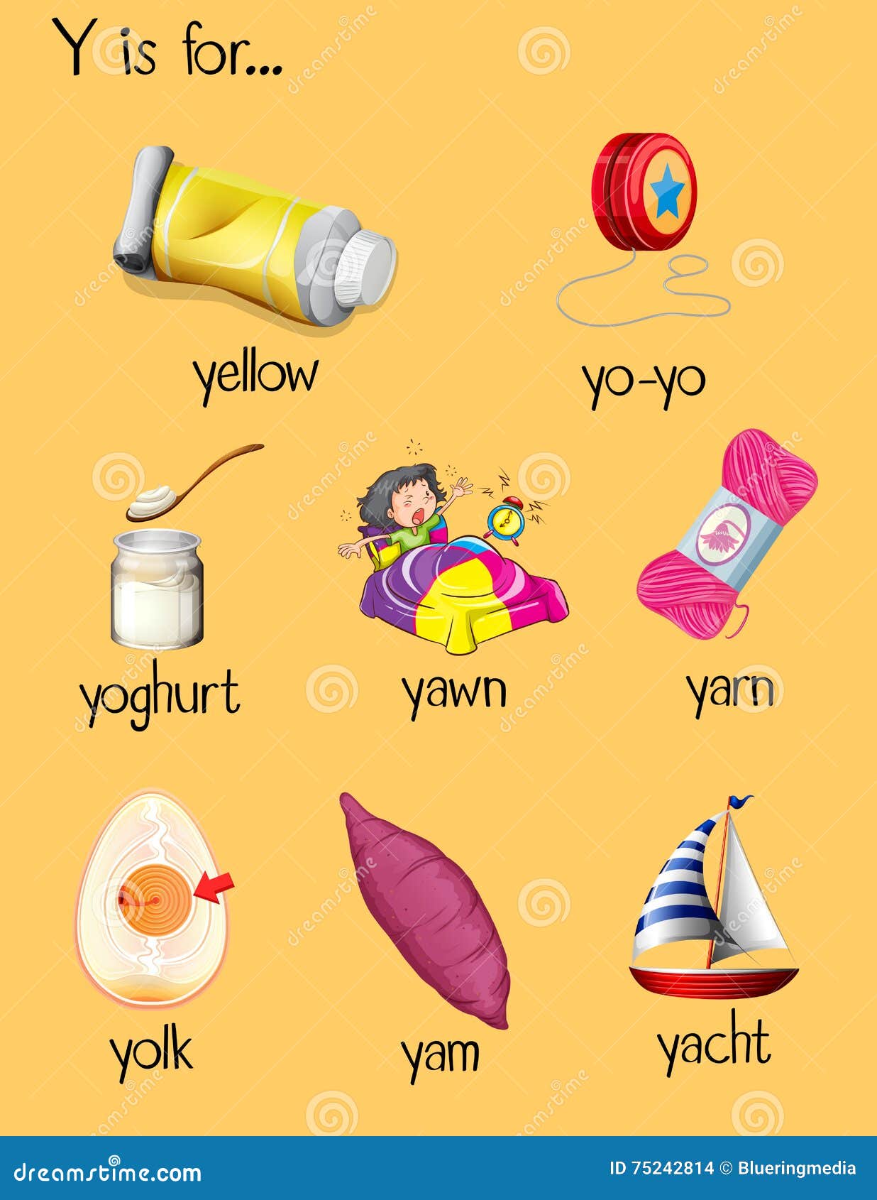 Vele Woorden Beginnen Met Brief Y Vector Illustratie - Illustration of jacht, brieven: 75242814 Vele Woorden Beginnen Met Brief Y Vector Illustratie - Illustration Of Jacht, Brieven: 75242814