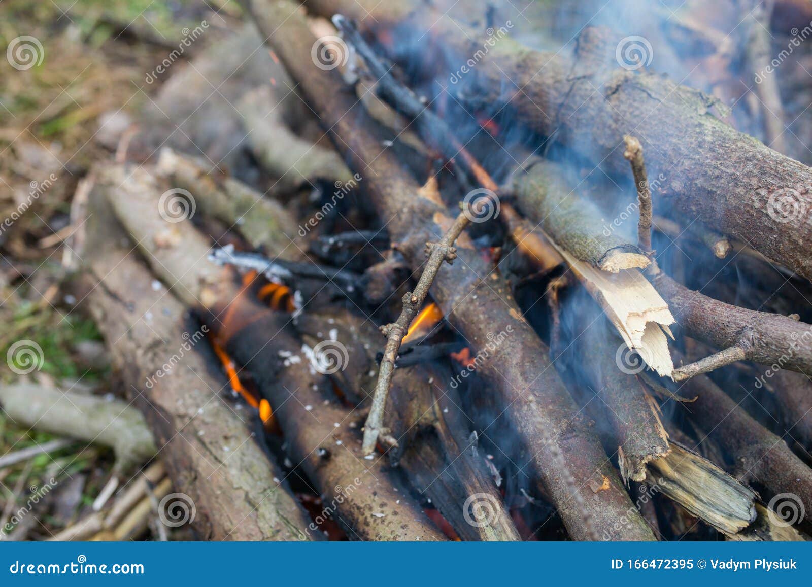 Velhos ramos de árvores secas no fogo para fundo Textura natural e ecológica Chama com fumaça na floresta para churrasco Fotografia no exterior da primavera ou do Verão