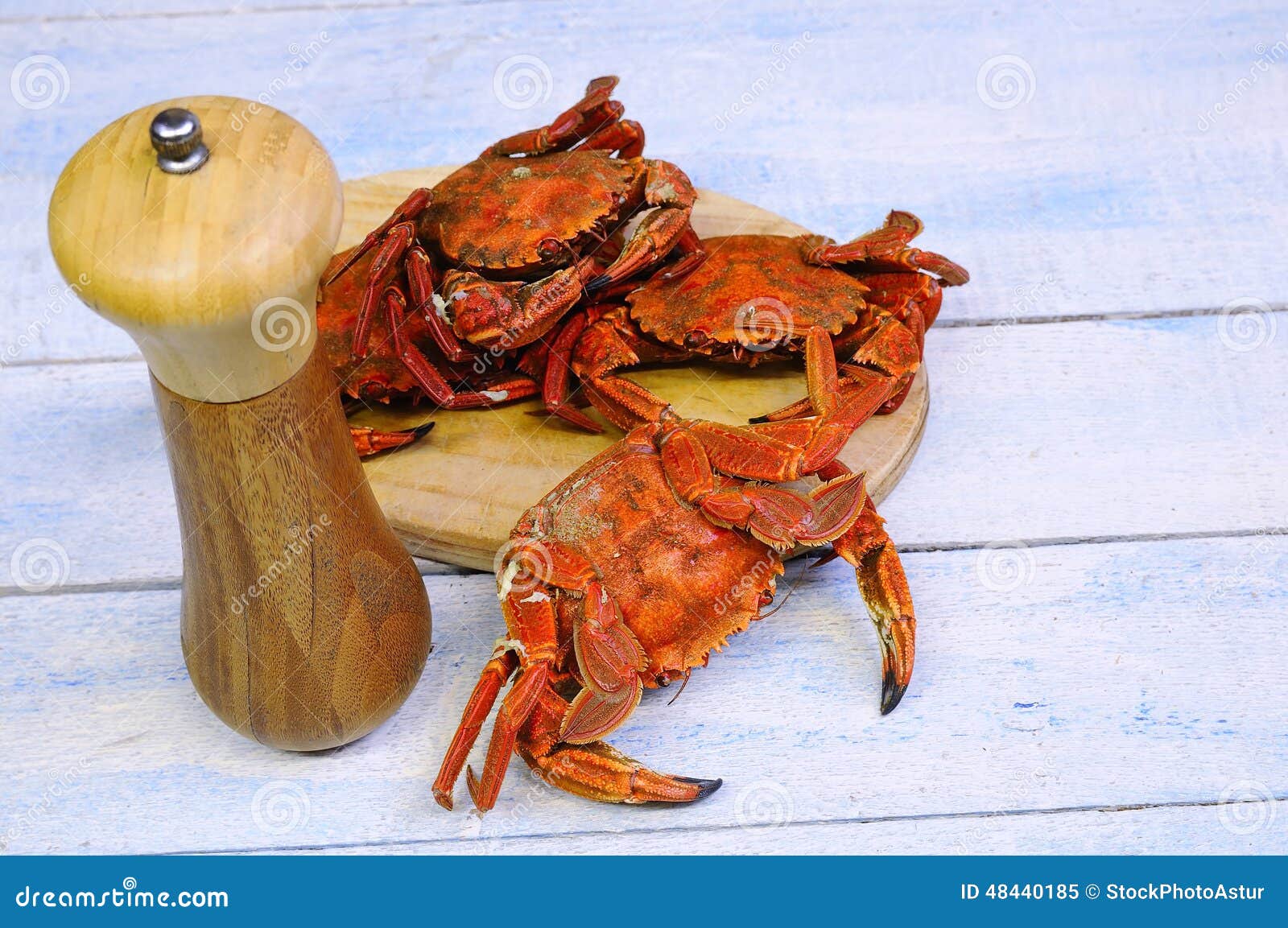 Velvet crab. stock image. Image of necora, delicious 48440185
