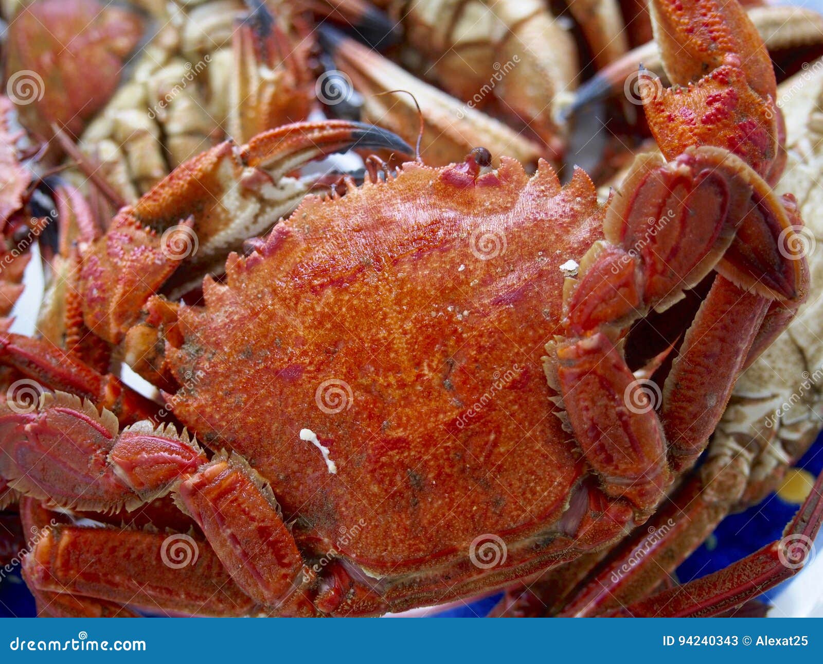 Velvet crabs stock image. Image of tasty, necora, health 94240343