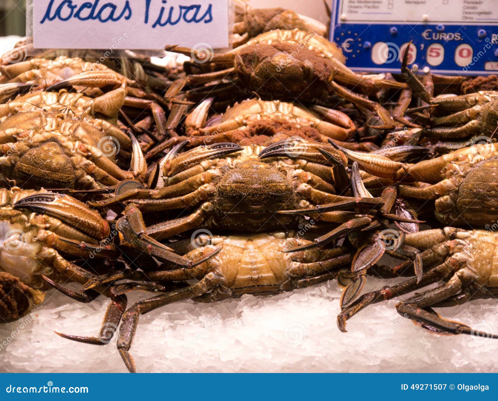 Velvet crabs stock image. Image of crab, kitchen, culinary 49271507
