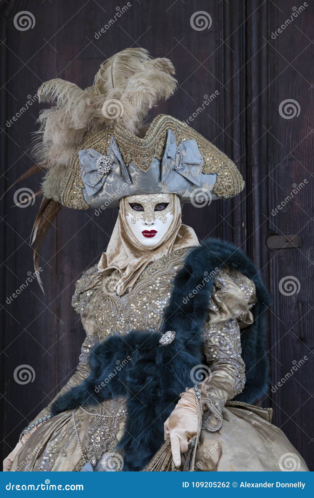 Venice Carnival Figure in a Colorful Gold and Grey Costume and Venetian ...