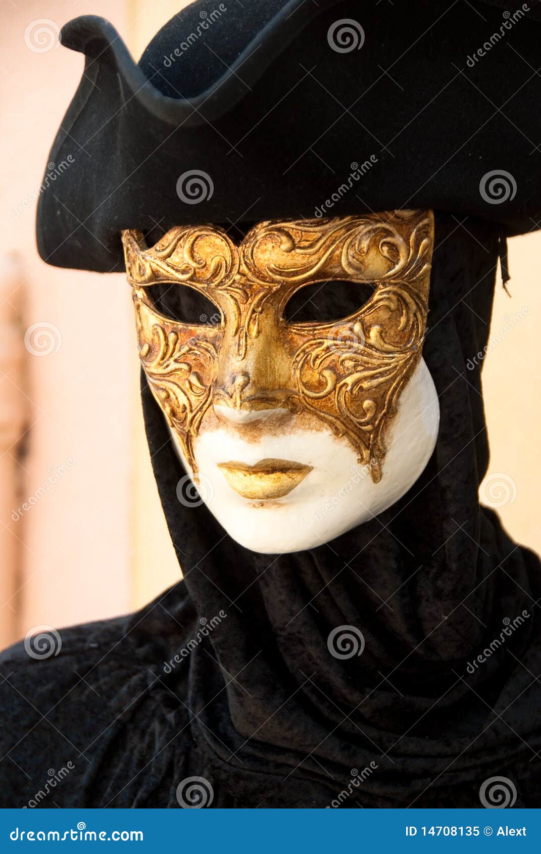 mask stock Image masked, nice, beauty - 14708135