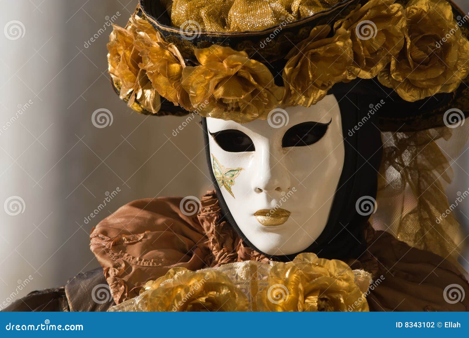 mask stock photo. Image of female, carnival, mysterious 8343102