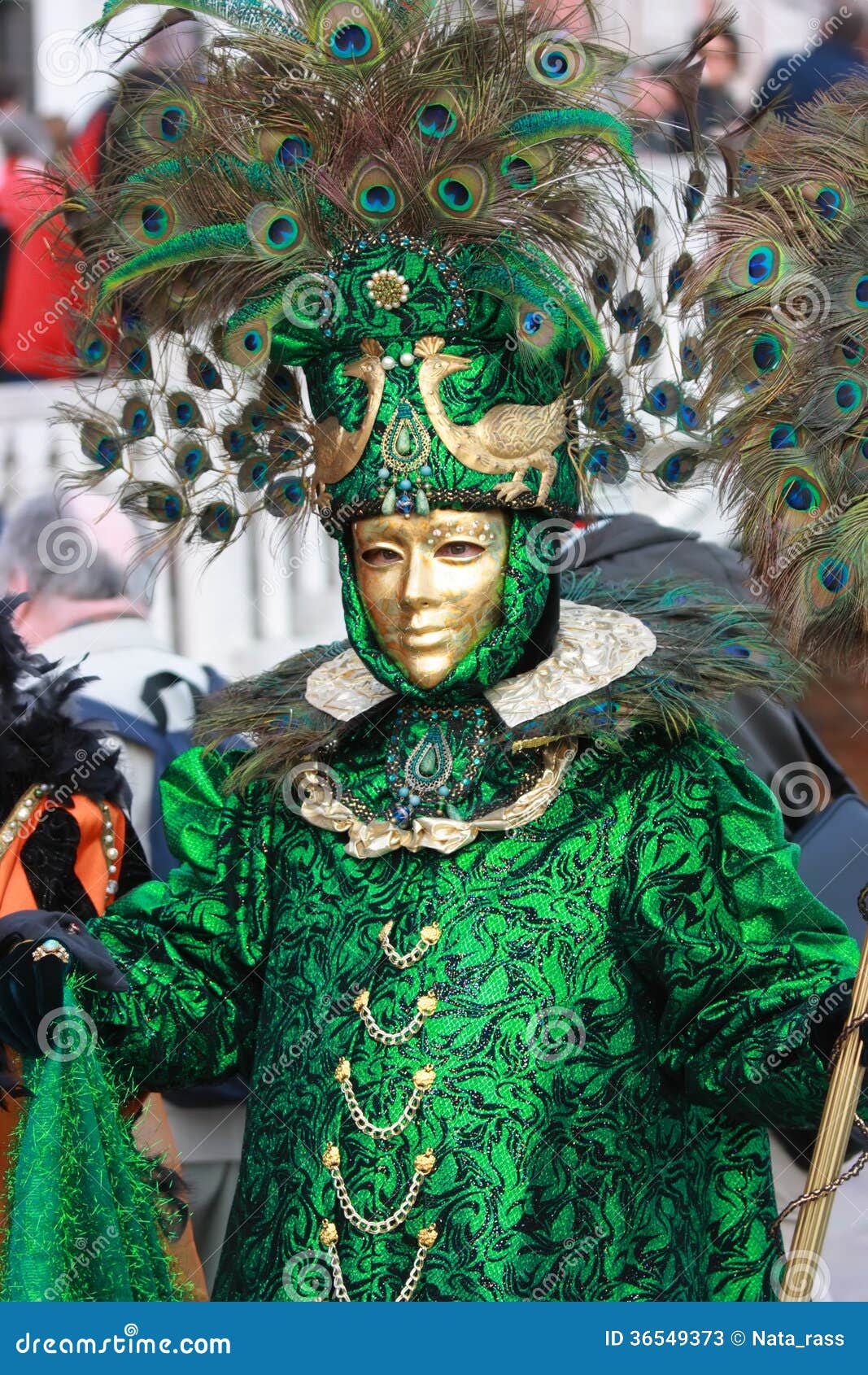 793 Peacock Costume Stock Photos - Free & Royalty-Free Stock Photos from Dreamstime