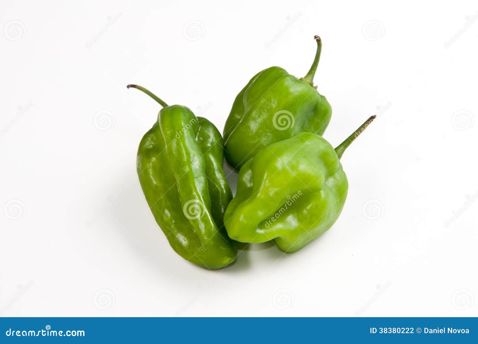Venezuelan Aji Dulce Pepper Stock Photo Image of green, sweet 38380222