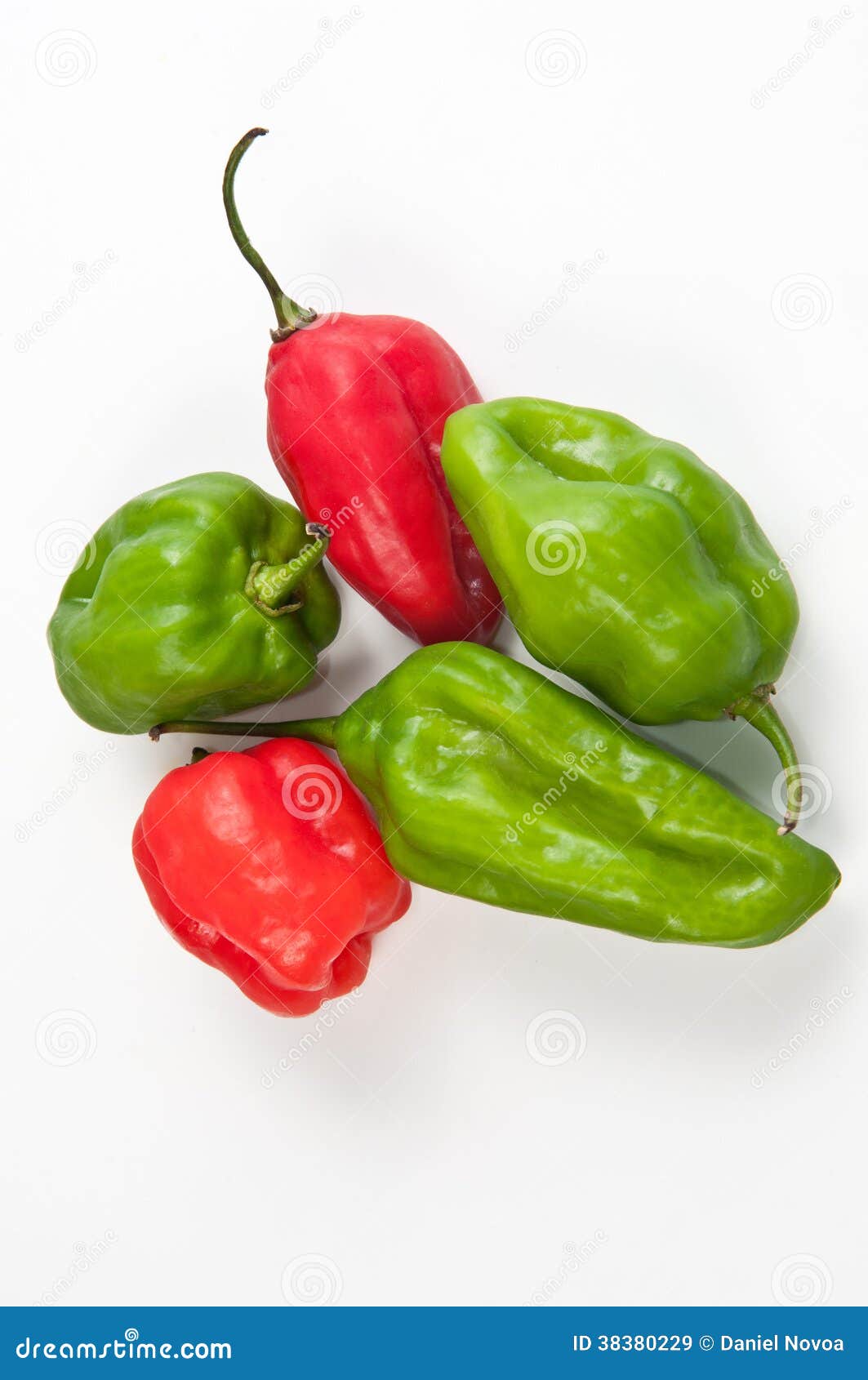 Venezuelan Aji Dulce Pepper Stock Image Image of pepper, bell 38380229