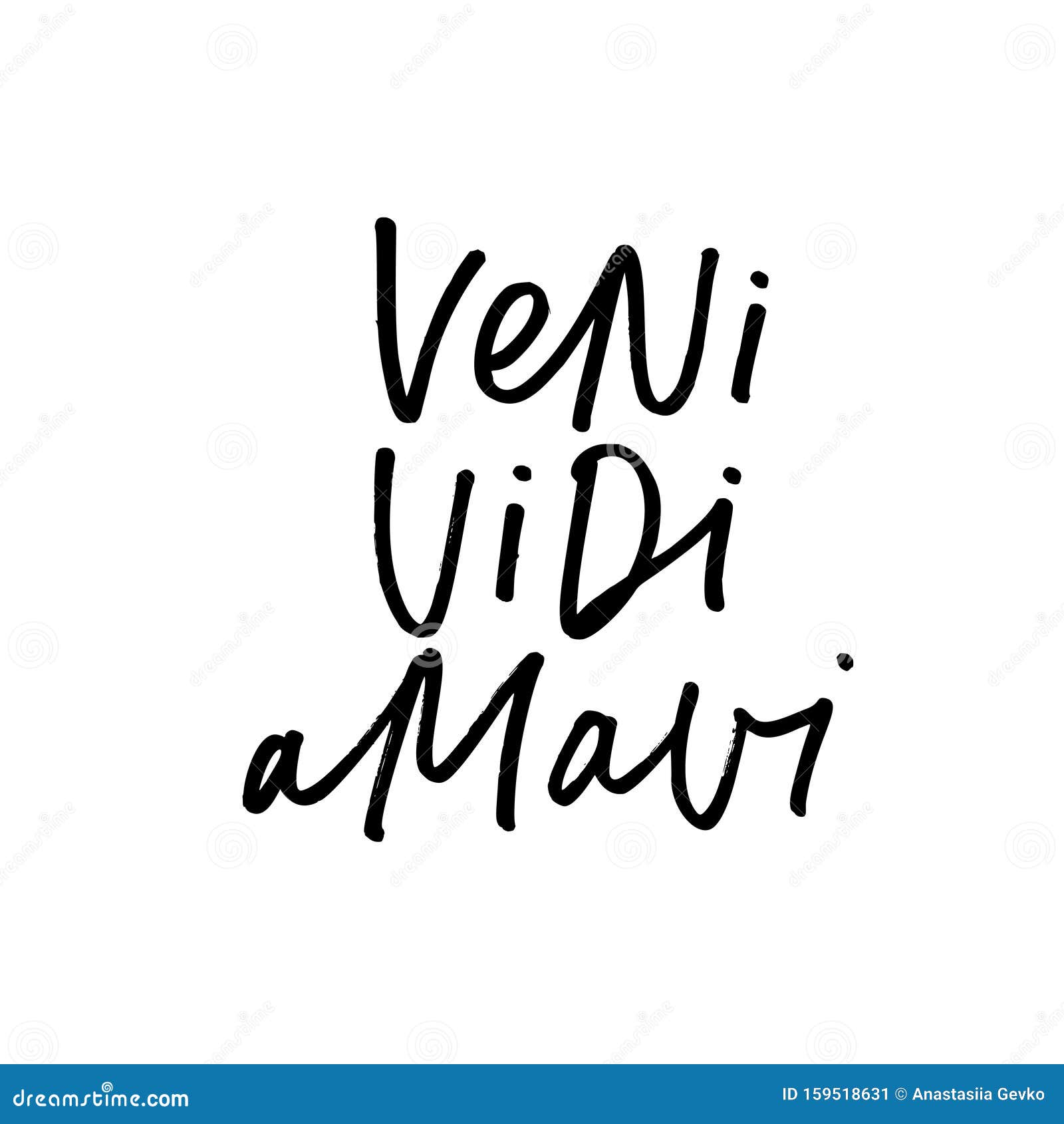 Veni Vidi Vici Latin Phrase Means Stock Vector (Royalty Free