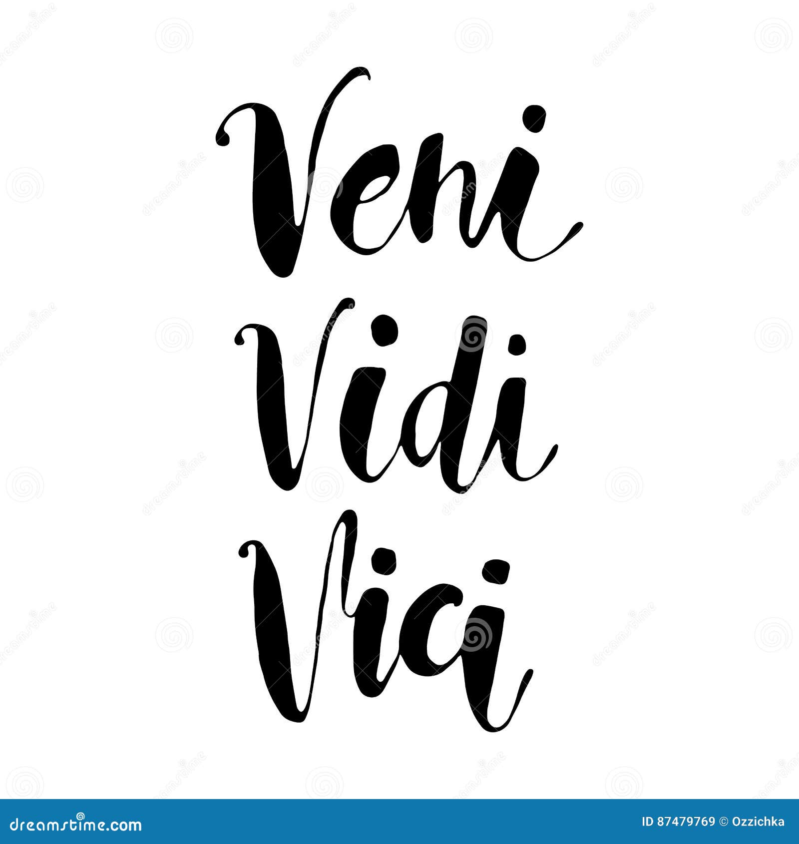 Veni Vidi Vici - inspirational motivational quote or tattoo desi Stock  Vector