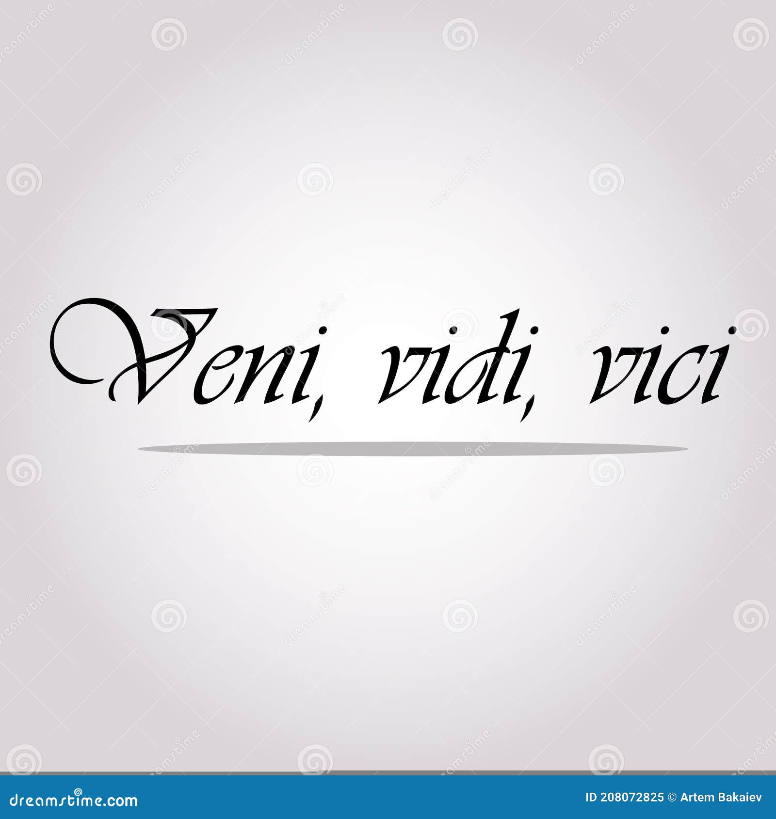 Veni Vidi Vici. Latin Quote Poster Stock Vector - Illustration of poster,  simple: 192202304