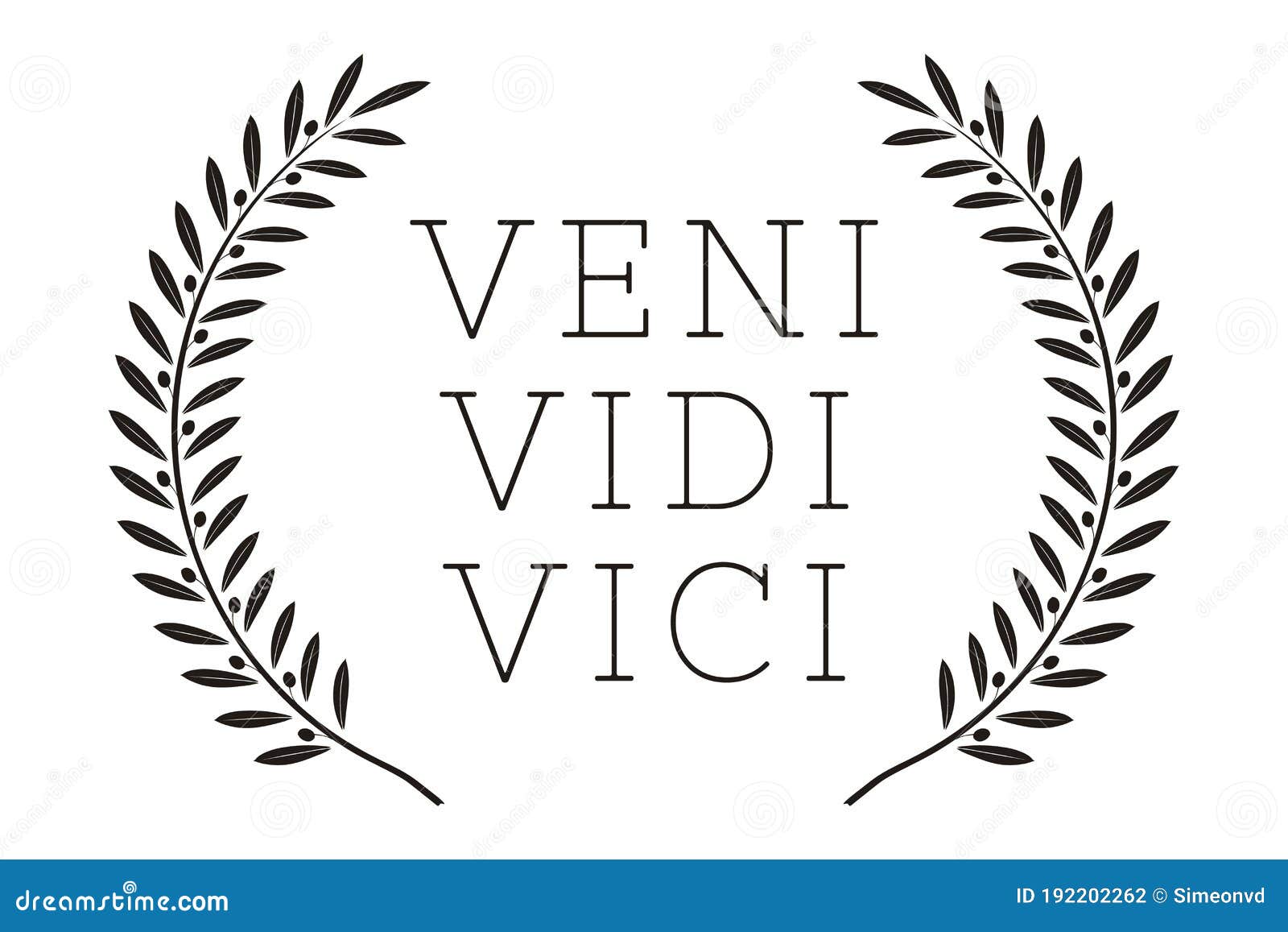 Hand drawn lettering veni vidi vici - latin Vector Image