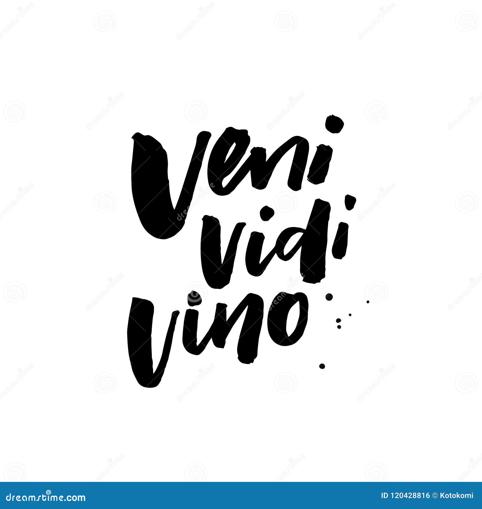 Veni vidi vici latin quote poster Royalty Free Vector Image