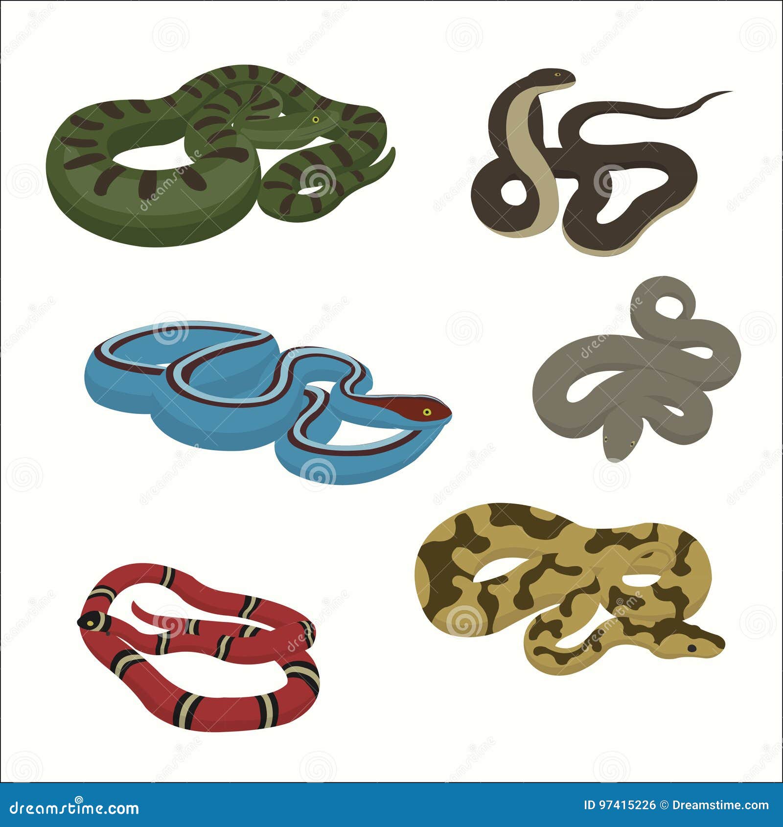 Venomous Snake Vector Cartoon Set Stock Vector - Illustration of ...