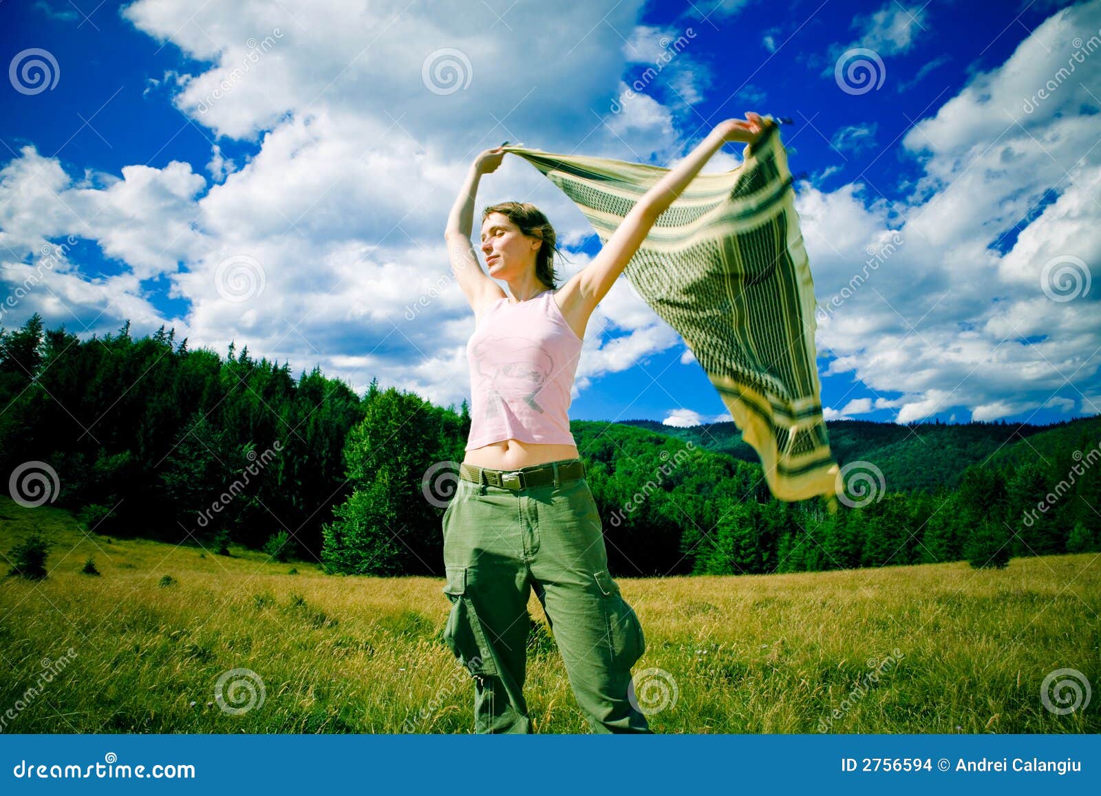 Vent de montagne photo stock. Image du vent, ch?�le, beau - 2756594