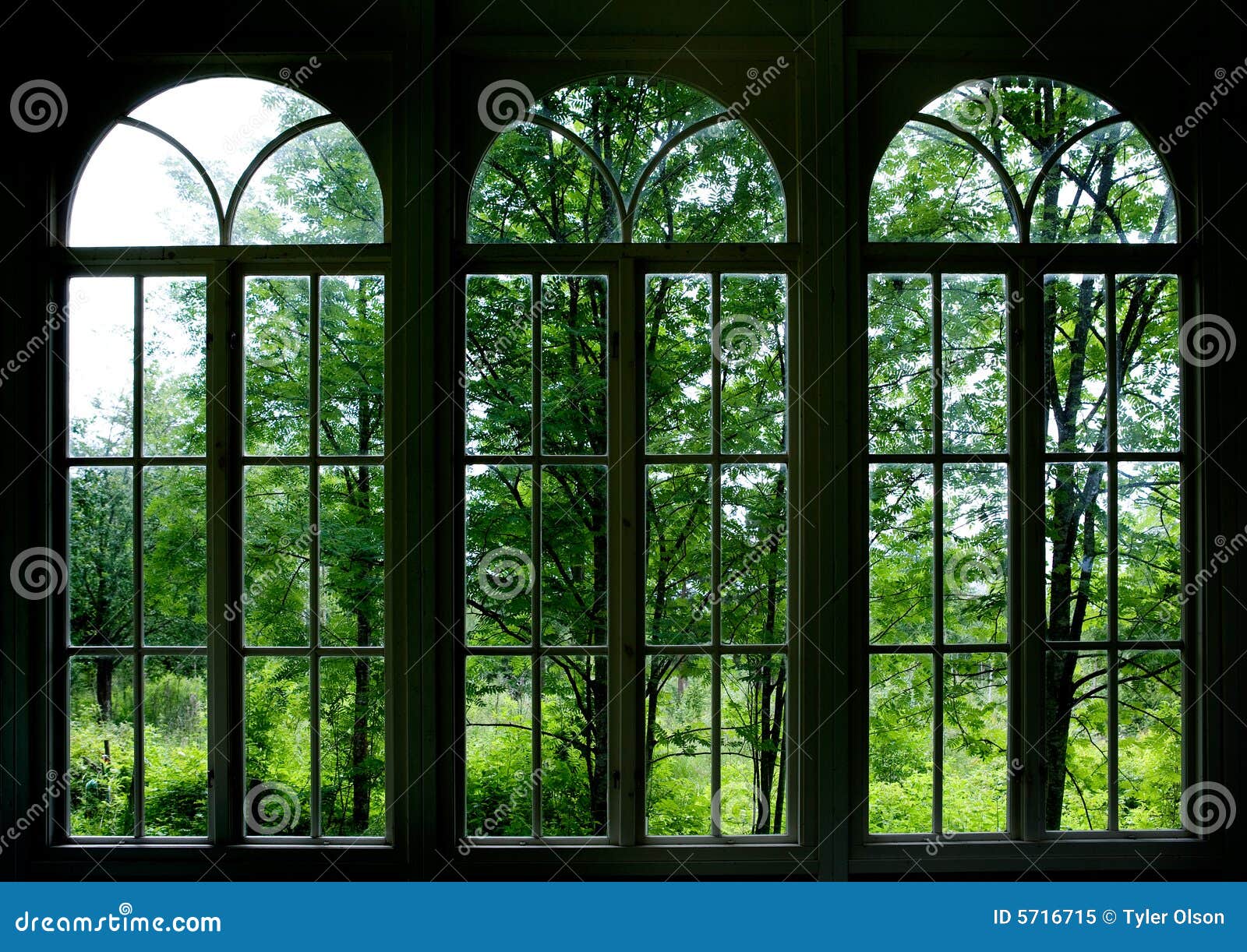 Ventana del jardín imagen de archivo. Imagen de ventana - 5716715