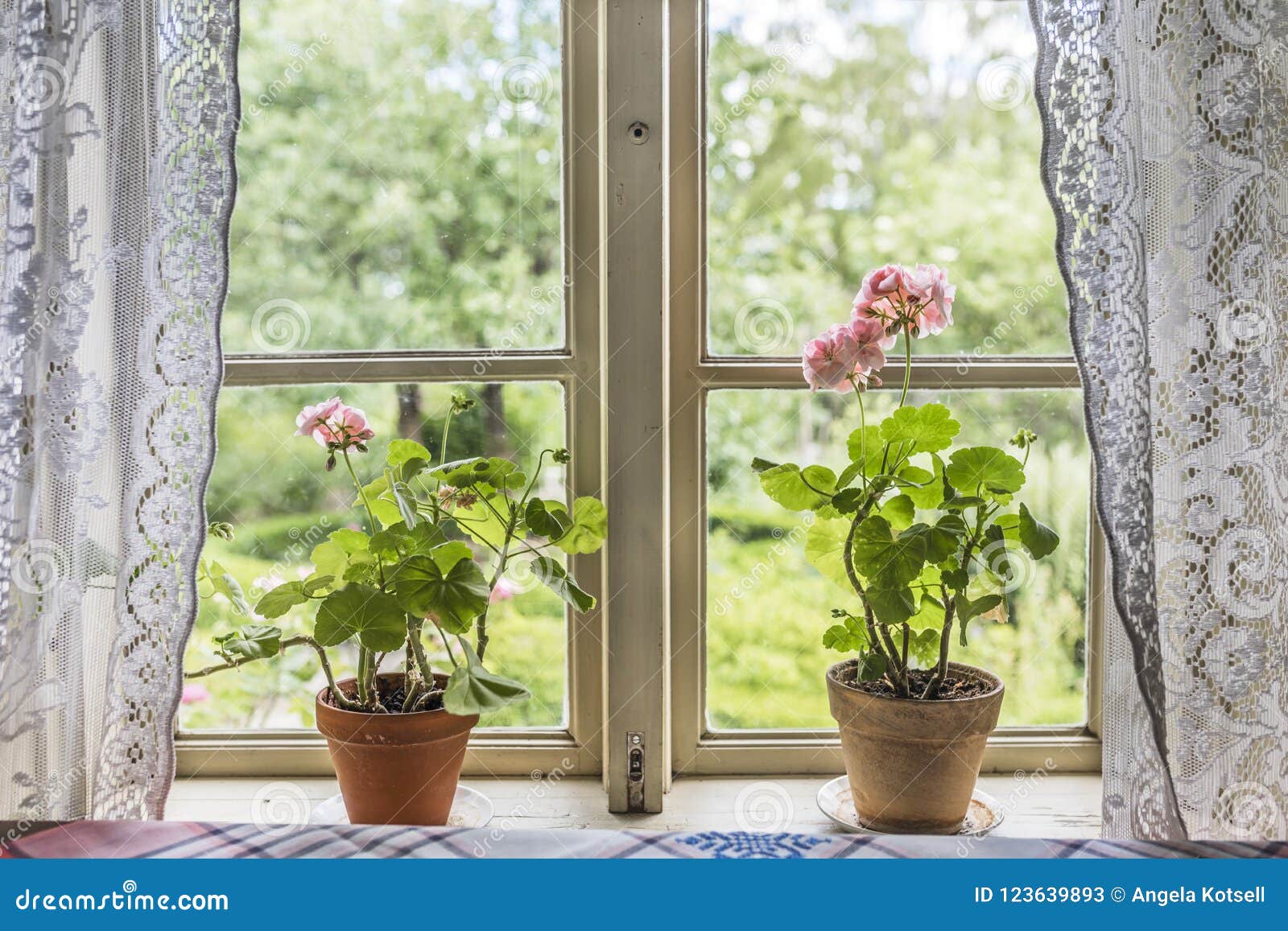 Ventana Vieja De La Casa De La Granja Con Los Visillos Imagen de archivo -  Imagen de granja, casa: 123639893