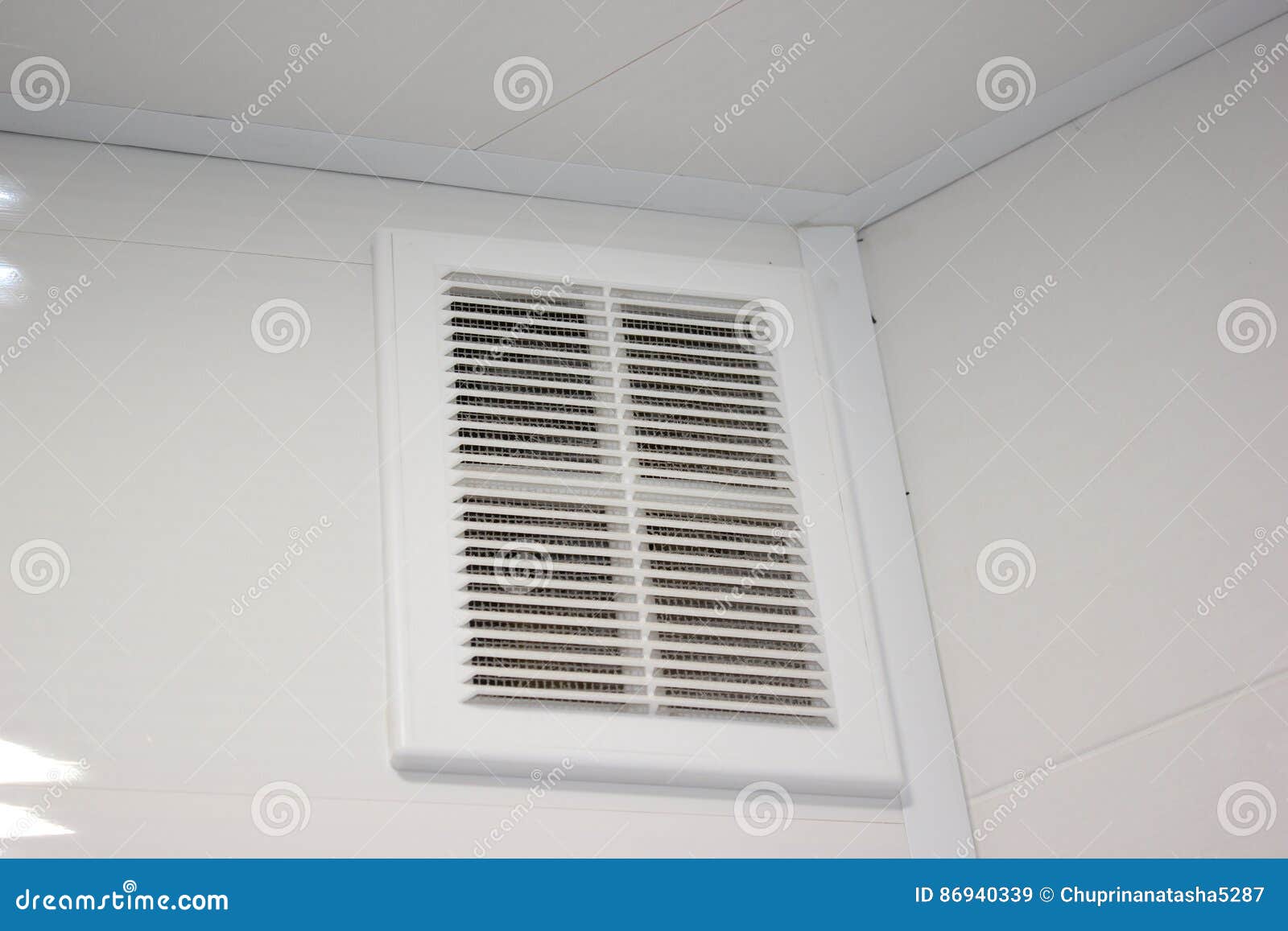 Ventilation Grille Along The House. Basement Windows Are Below Ground