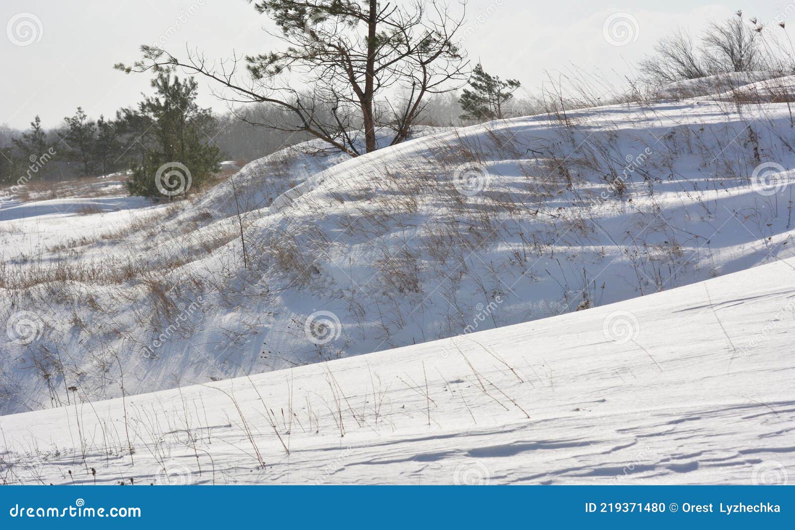 Ventisca De Invierno Con Viento Y Nieve Foto de archivo Imagen de
