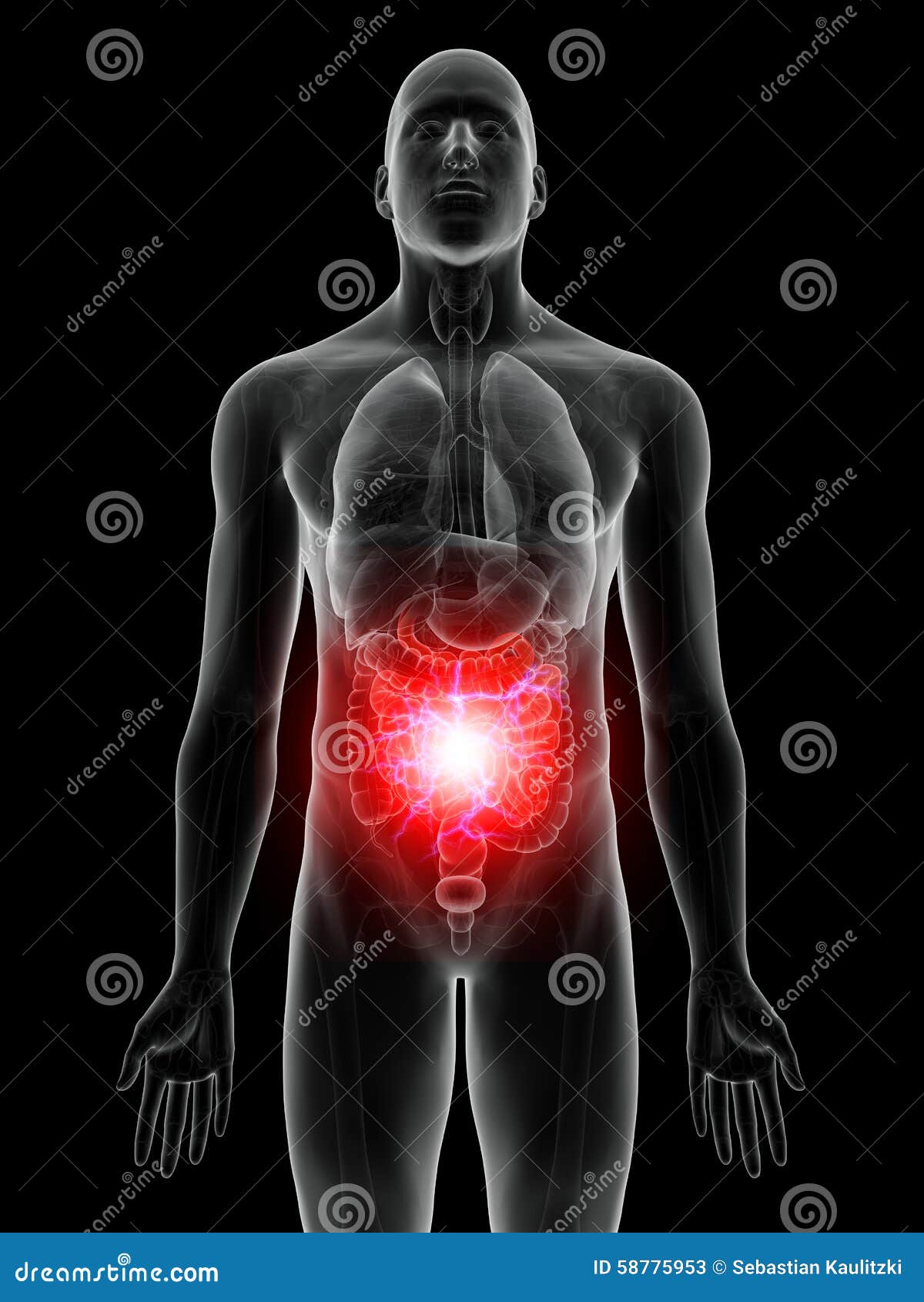 Ventre douloureux illustration stock. Illustration du dessin 58775953