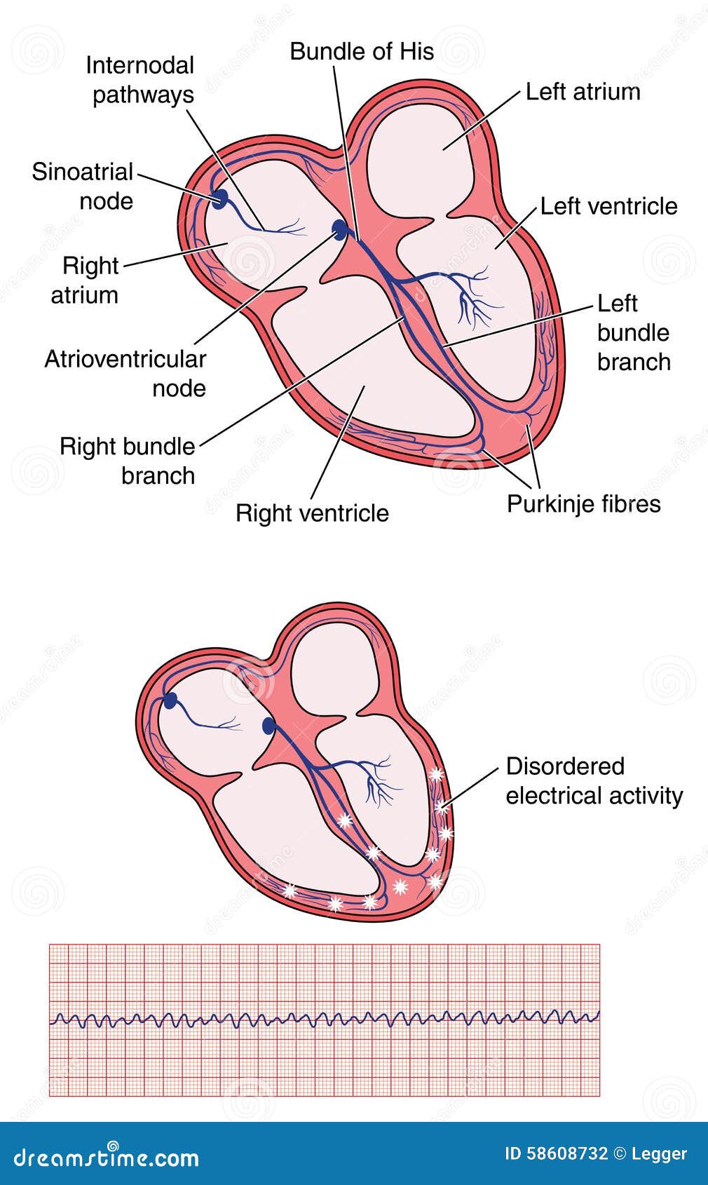 download quantitative neurophysiology