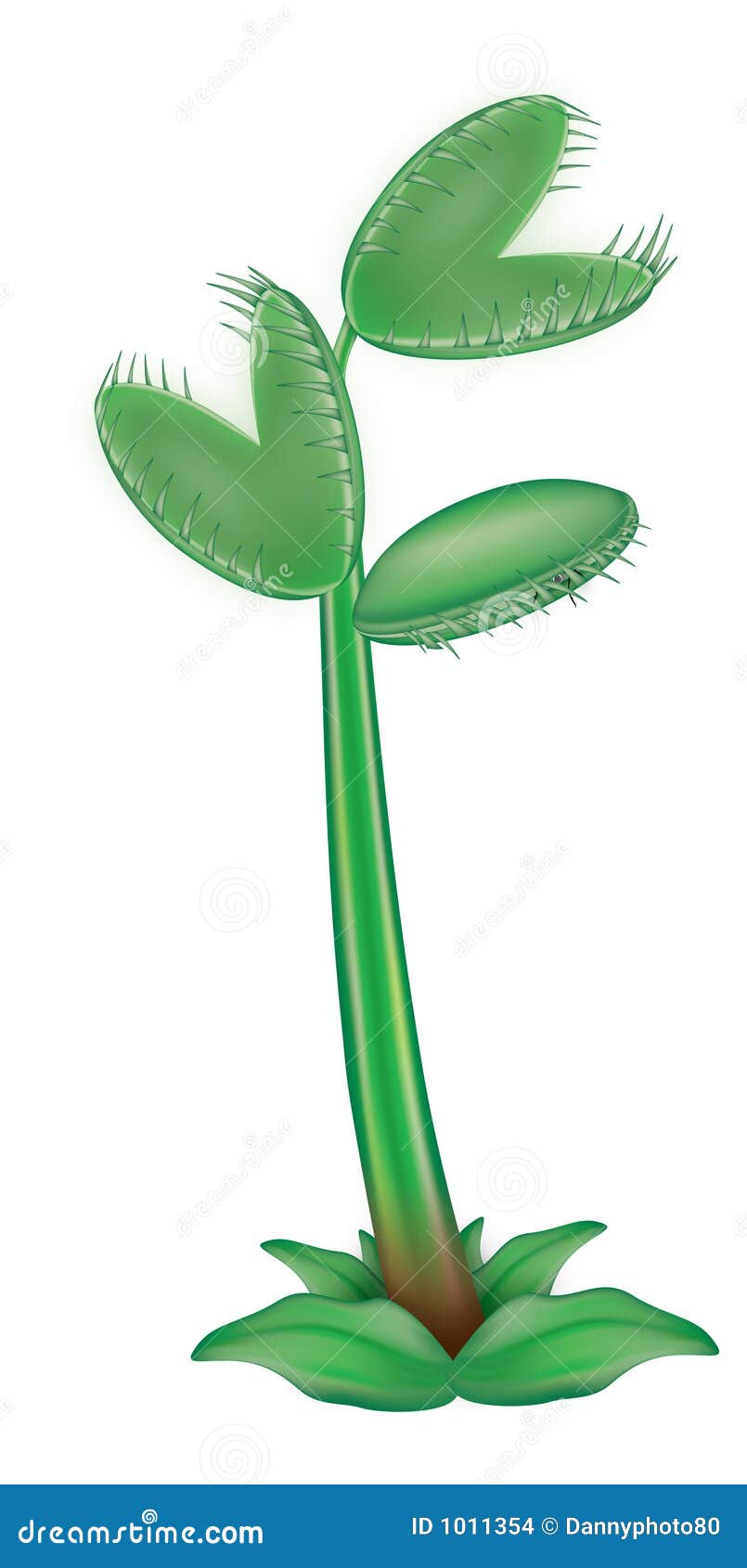 venus fly trap clipart - photo #21