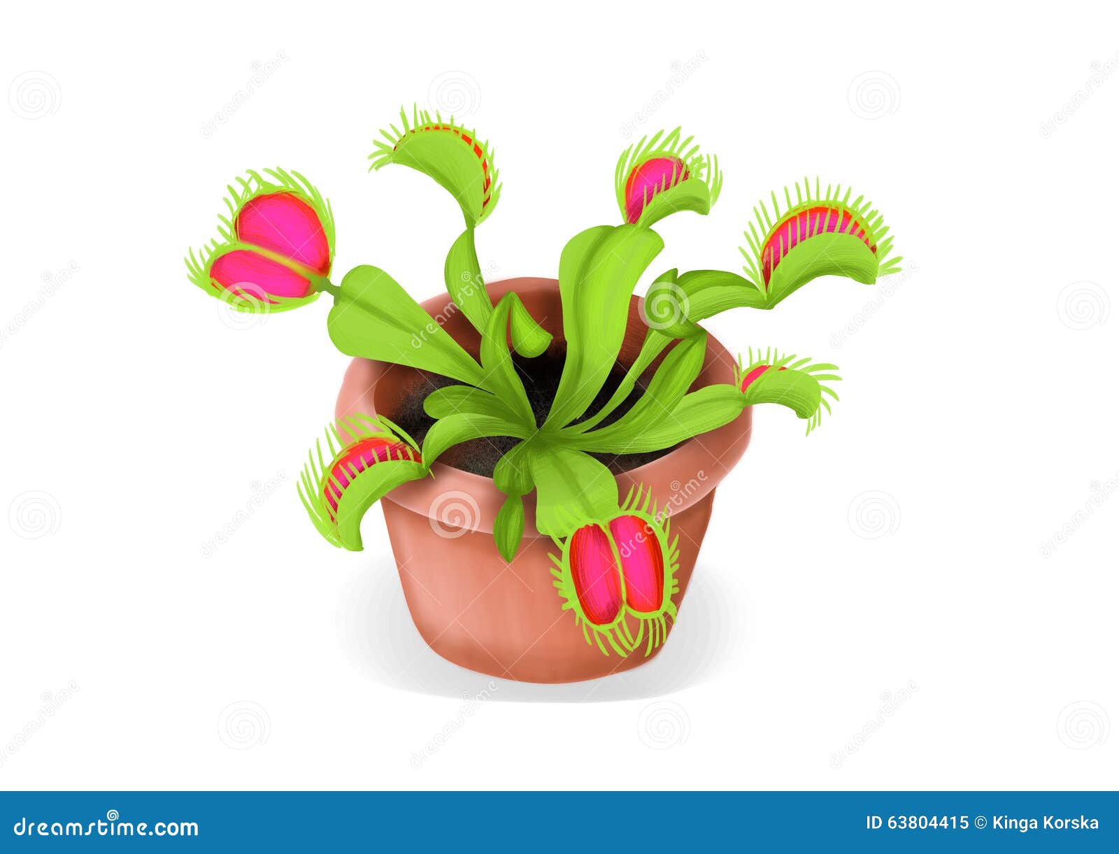 Venus Flytrap in a Pot Illustration Stock Illustration Illustration