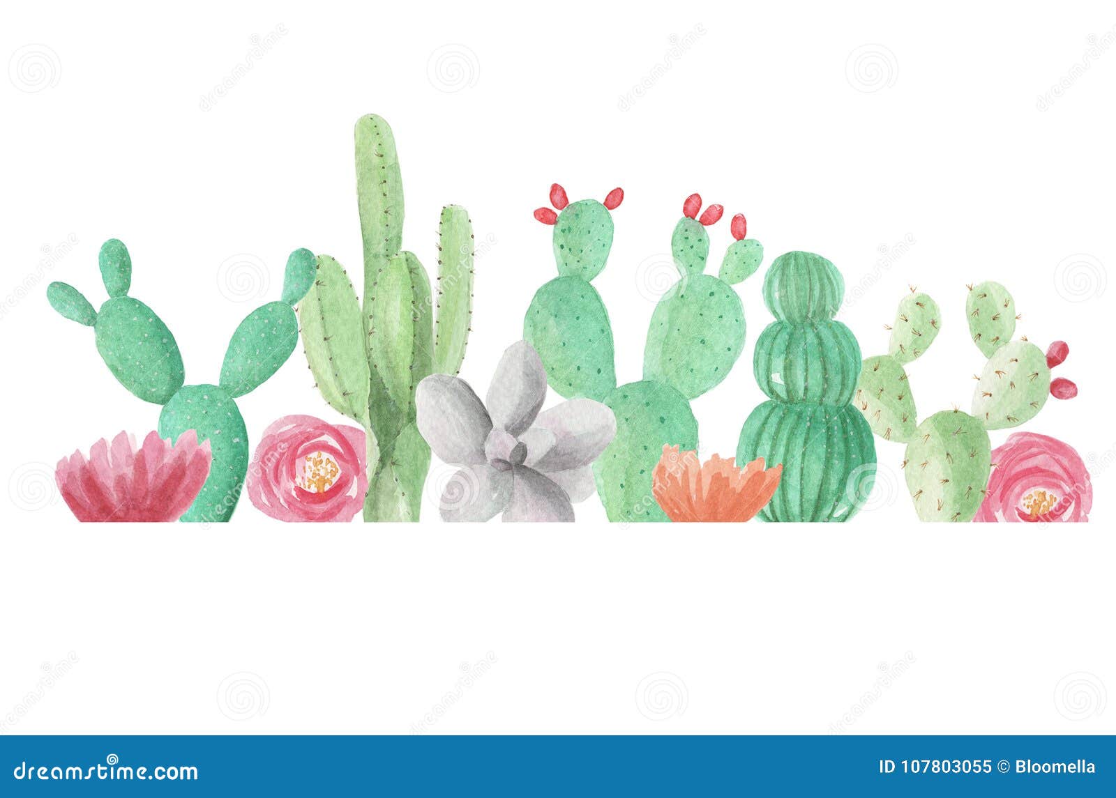 Cactus Deserto Planta Flor Flora Cactos De Desenhos Animados Suculentos.  Planta De Cactos Espinhoso Espinhoso Espinhoso. Deserto Mexicano Tropical  Cacto Verão Jardim Planta. Houseplant Vetor Exótico Cacto Verde Flor  Deserto. Royalty Free