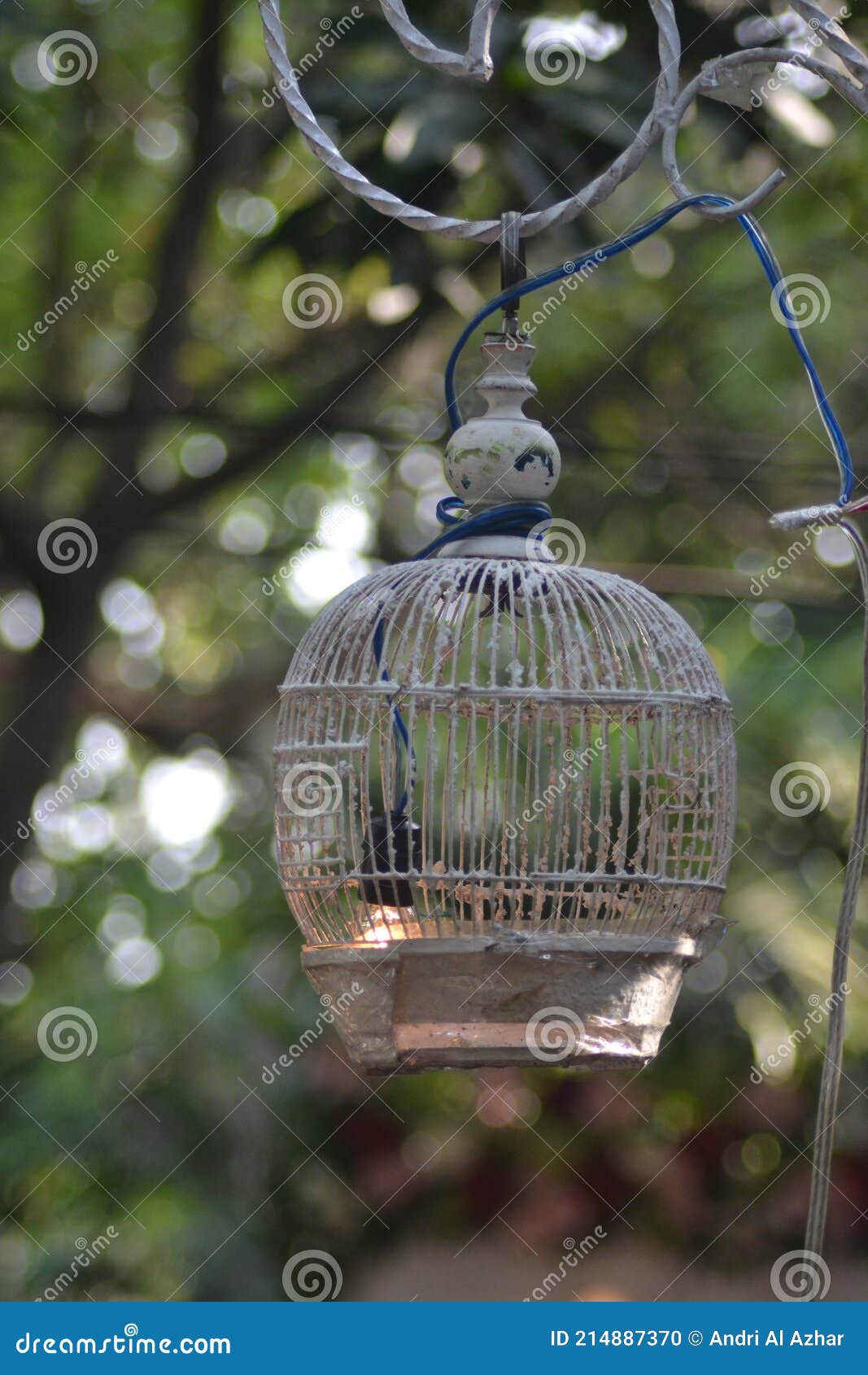 Ver Abstract Empty Bird Cage Foto de archivo Imagen de extracto